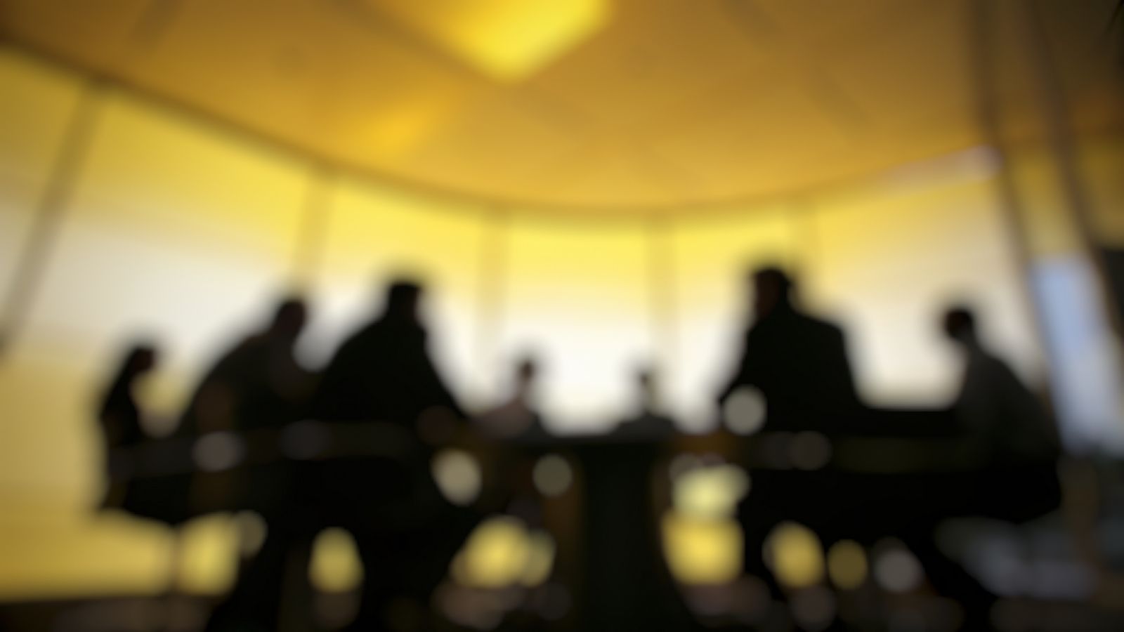 Silhouetted delegates in discussion at a high-level forum session